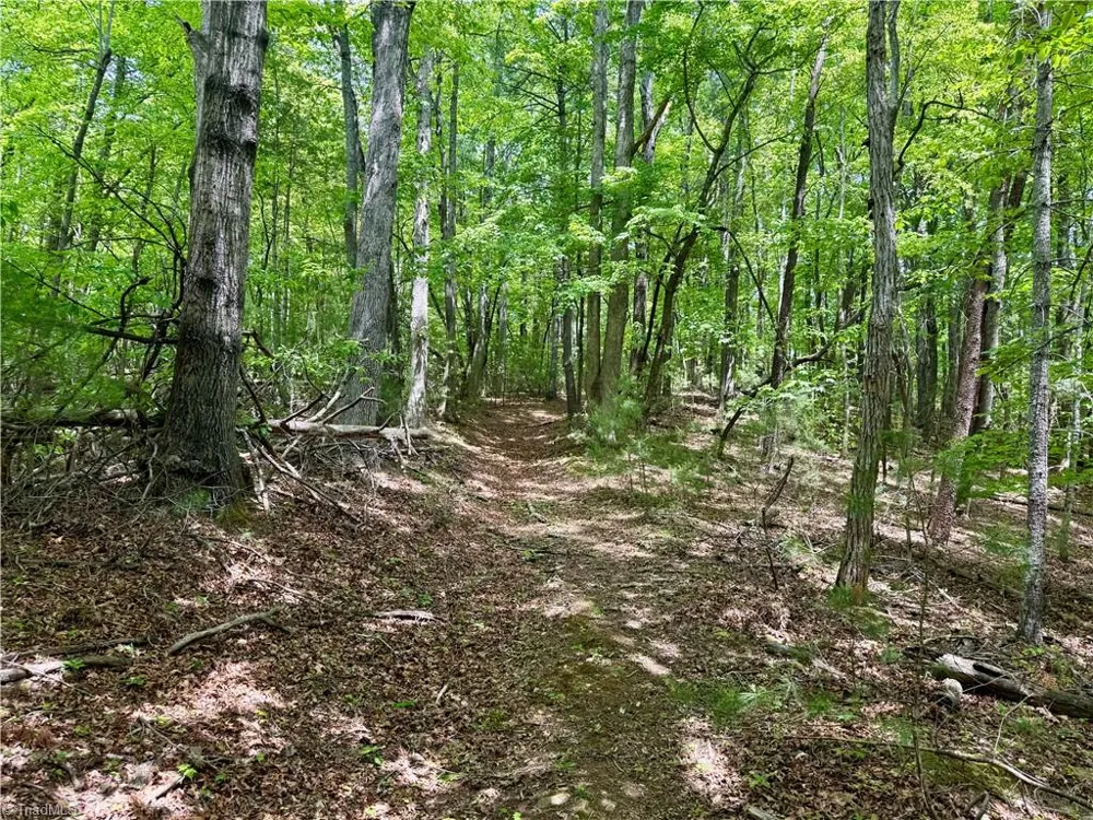 0000 Ashe View Drive Millers Creek, NC 28651