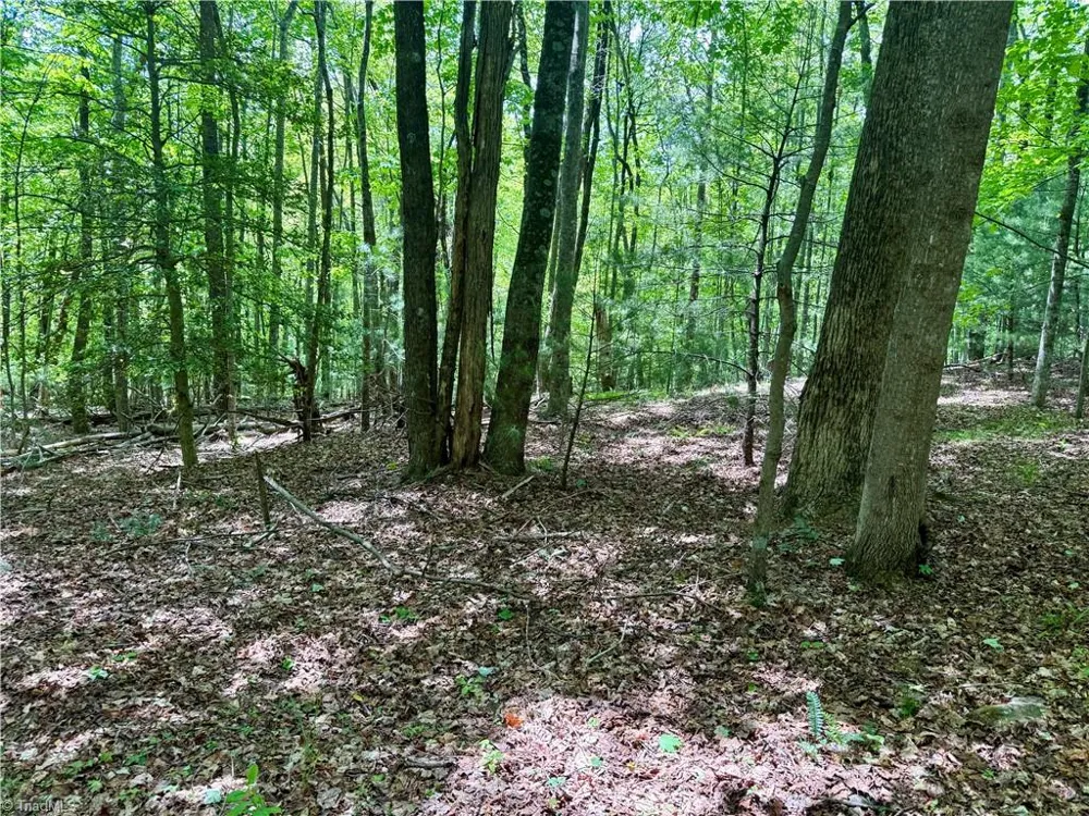0000 Ashe View Drive Millers Creek, NC 28651