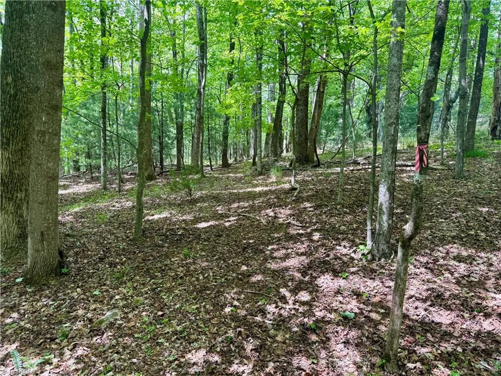 0000 Ashe View Drive Millers Creek, NC 28651