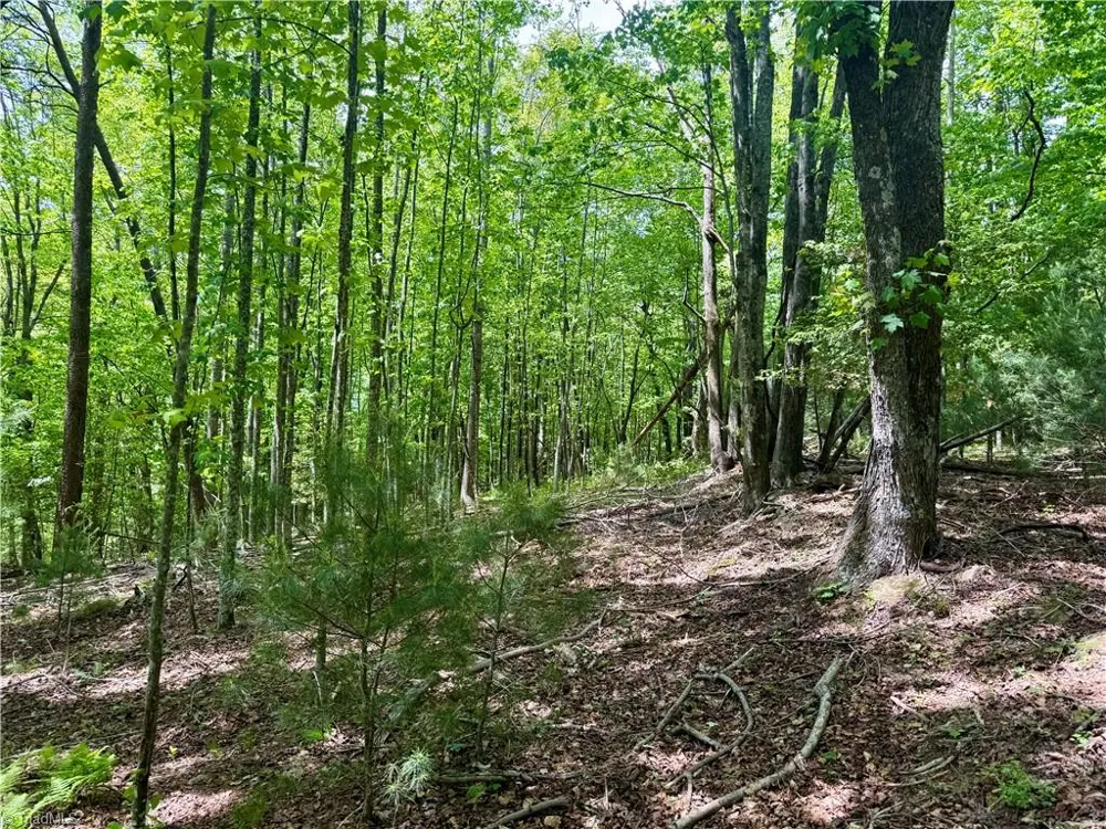 0000 Ashe View Drive Millers Creek, NC 28651