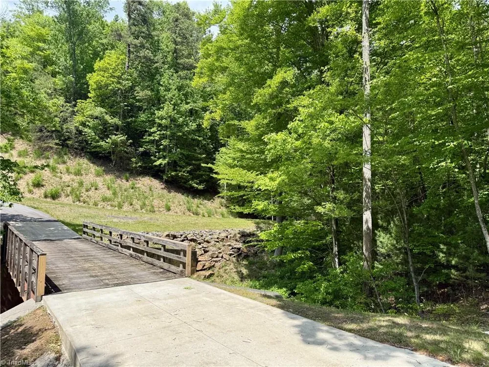 0000 Ashe View Drive Millers Creek, NC 28651
