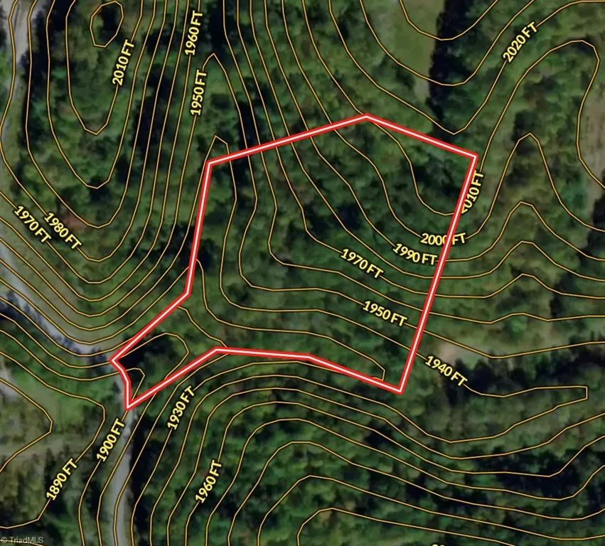 0000 Ashe View Drive Millers Creek, NC 28651