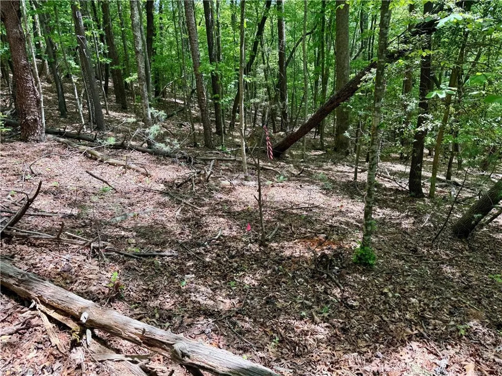 0000 Ashe View Drive Millers Creek, NC 28651