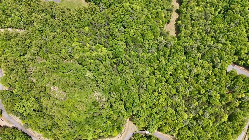 0000 Ashe View Drive Millers Creek, NC 28651