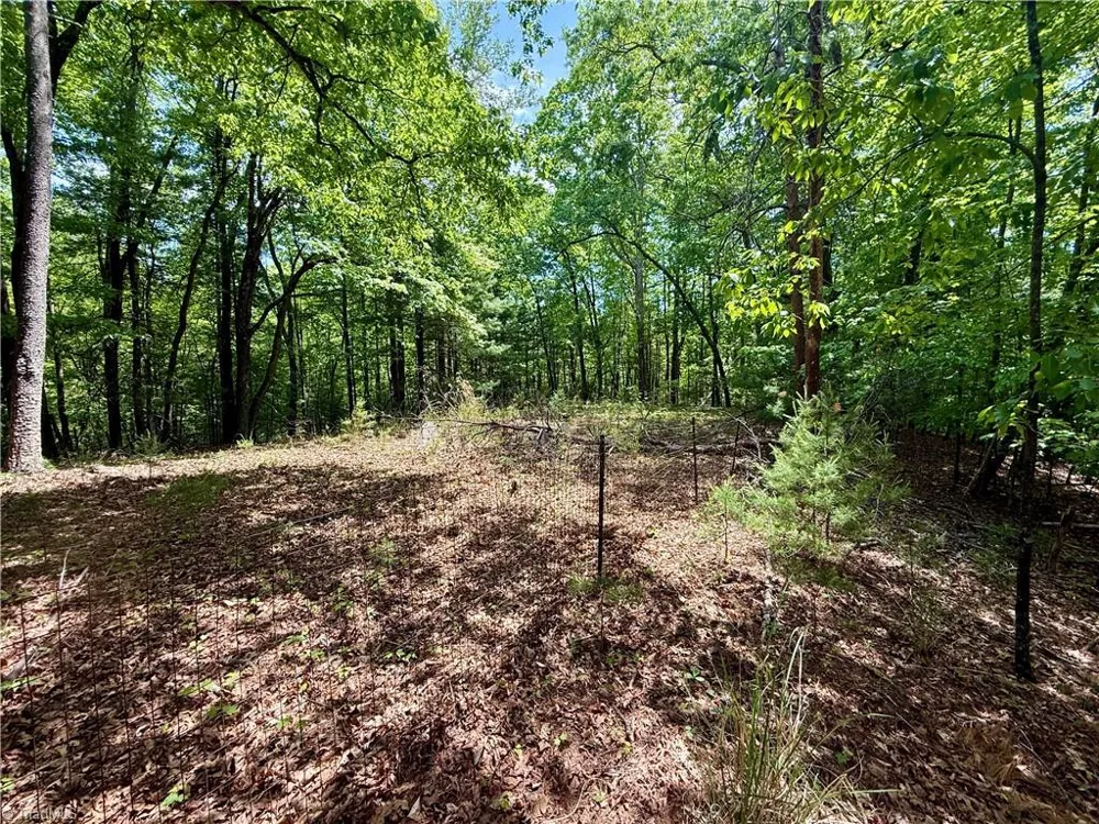 0000 Ashe View Drive Millers Creek, NC 28651