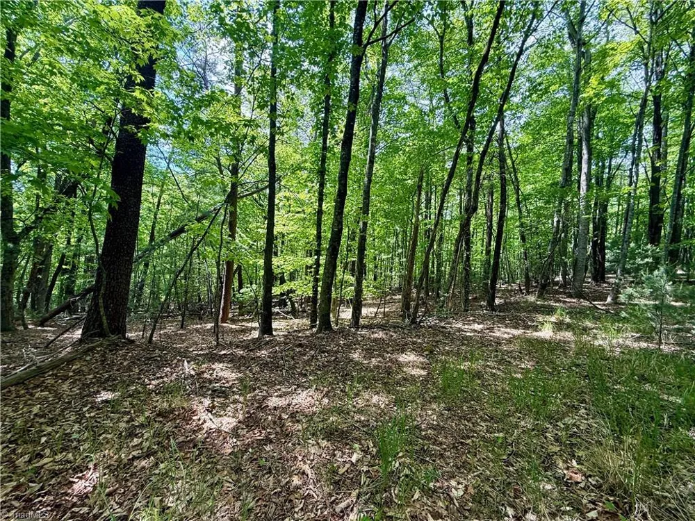 0000 Ashe View Drive Millers Creek, NC 28651