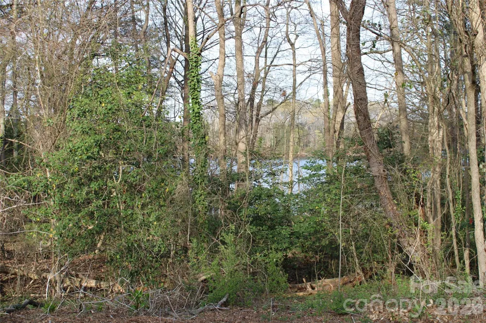 Lot 16 Lake Front Drive Catawba, NC 28609