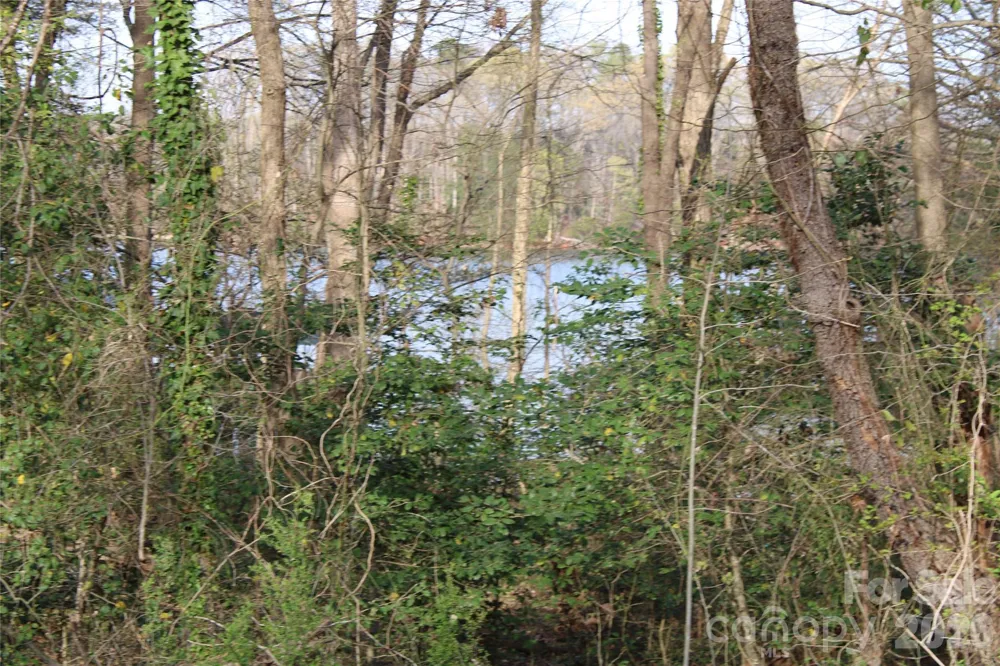 Lot 16 Lake Front Drive Catawba, NC 28609