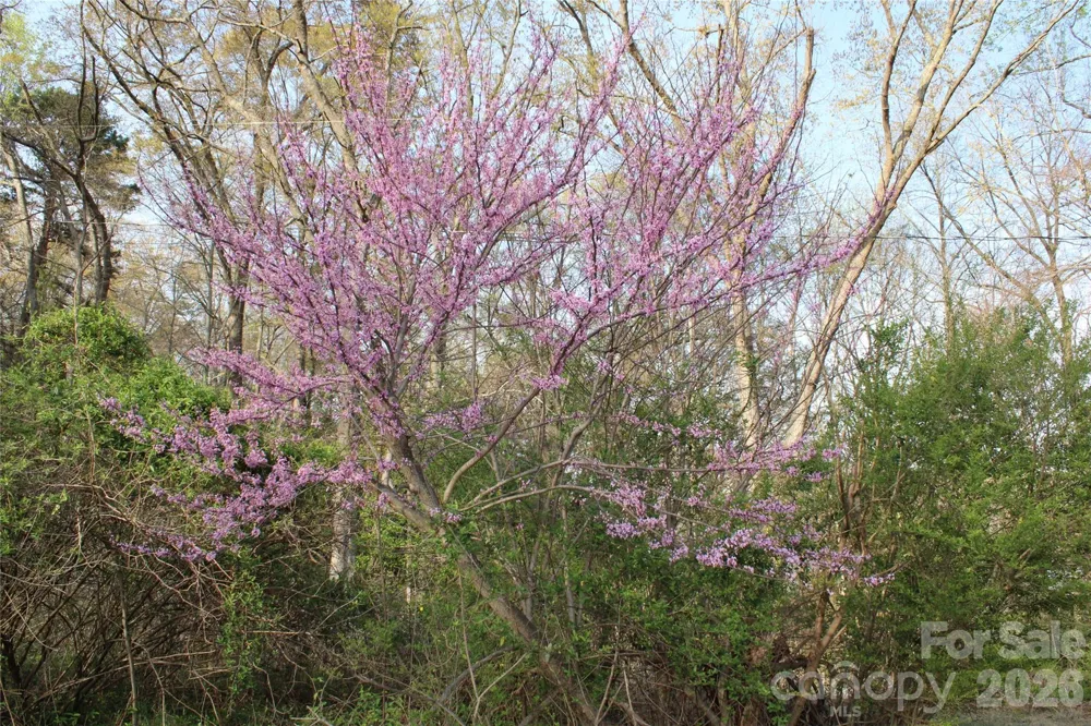 Lot 16 Lake Front Drive Catawba, NC 28609