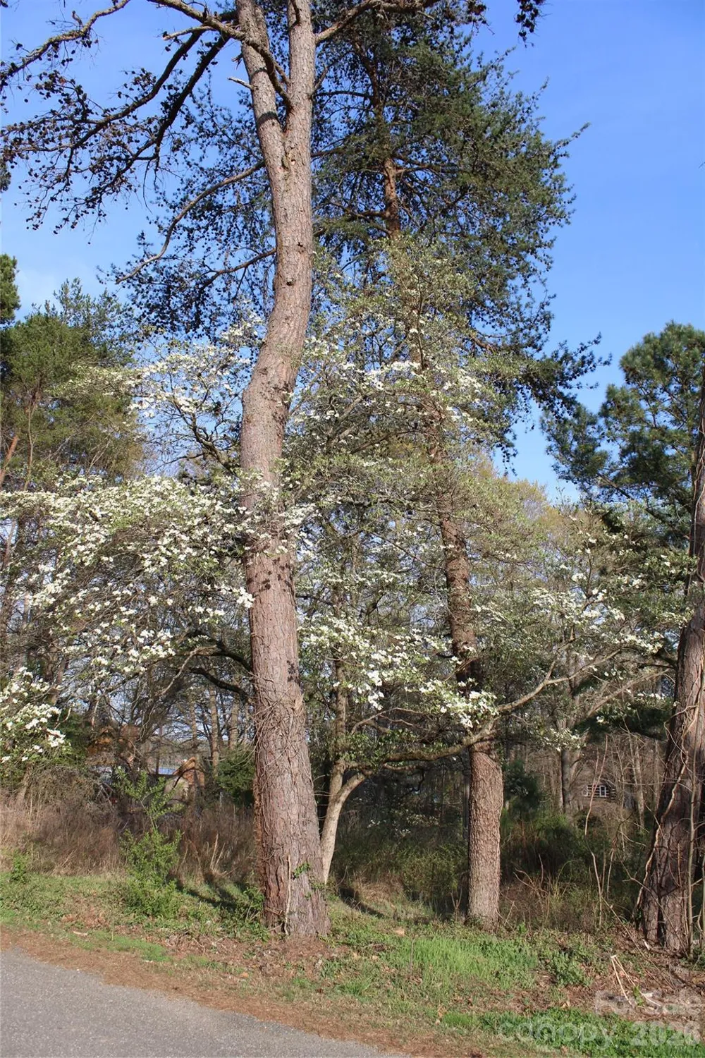 Lot 16 Lake Front Drive Catawba, NC 28609