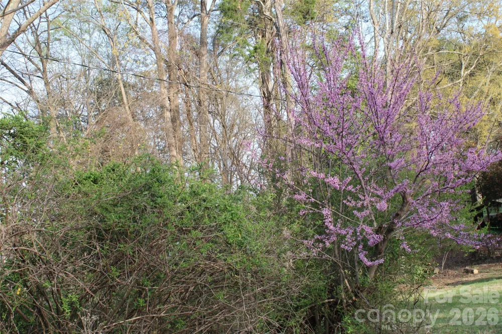 Lot 16 Lake Front Drive Catawba, NC 28609