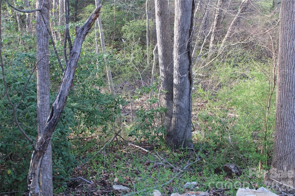 Lot 16 Lake Front Drive Catawba, NC 28609