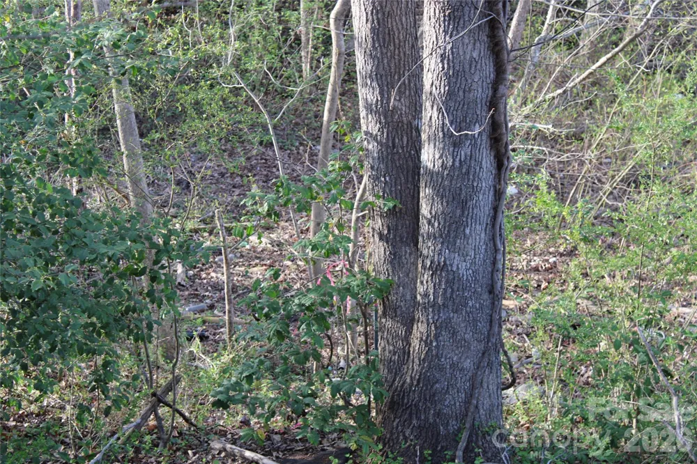 Lot 16 Lake Front Drive Catawba, NC 28609