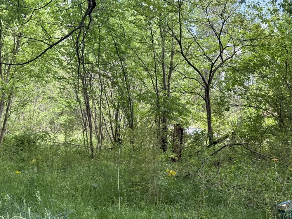 20 Morrison Rd Gruetli Laager, TN 37339