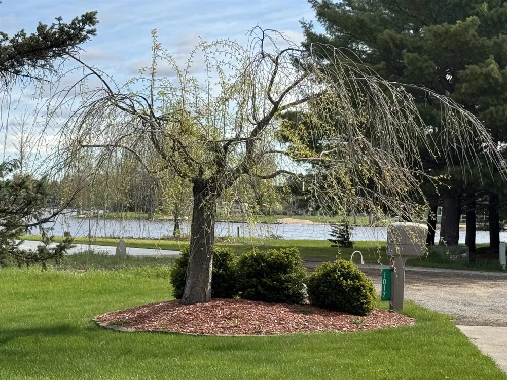 1017 Channel Drive Lake Isabella Village, MI 48893