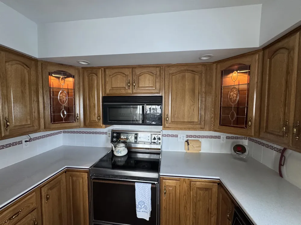 1017 Channel Drive Lake Isabella Village, MI 48893