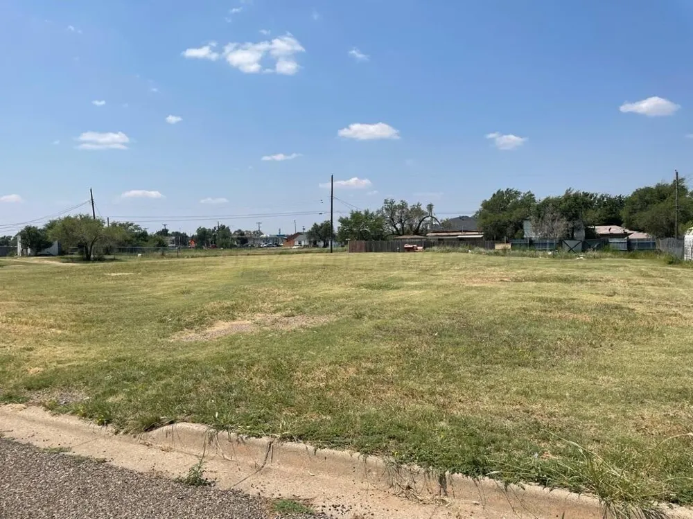 905 ADAMS STREET Amarillo, TX 79107