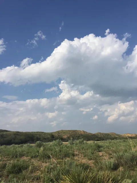 251 Sunrise Ridge