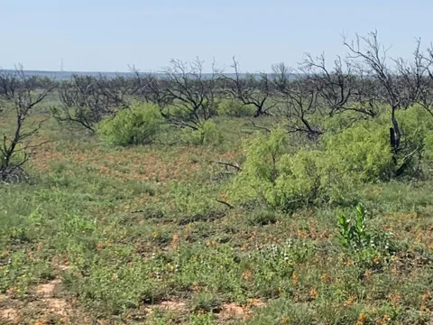 0 CEDAR CREEK ROAD