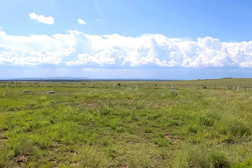 735 Wagon Mound Hwy 120 Other - Not in list, NM 87743