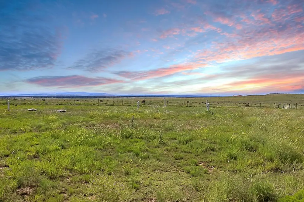 735 Wagon Mound Hwy 120 Other - Not in list, NM 87743