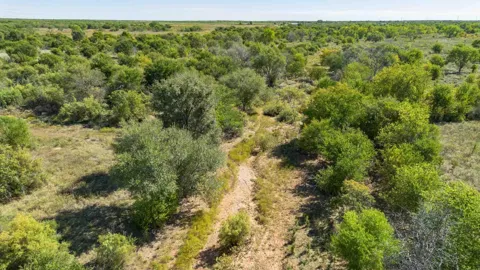 Quail Haven