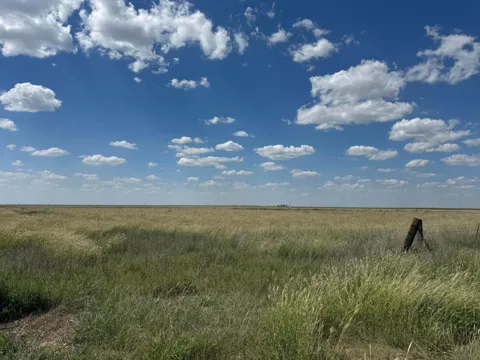 +/- 218 Ac