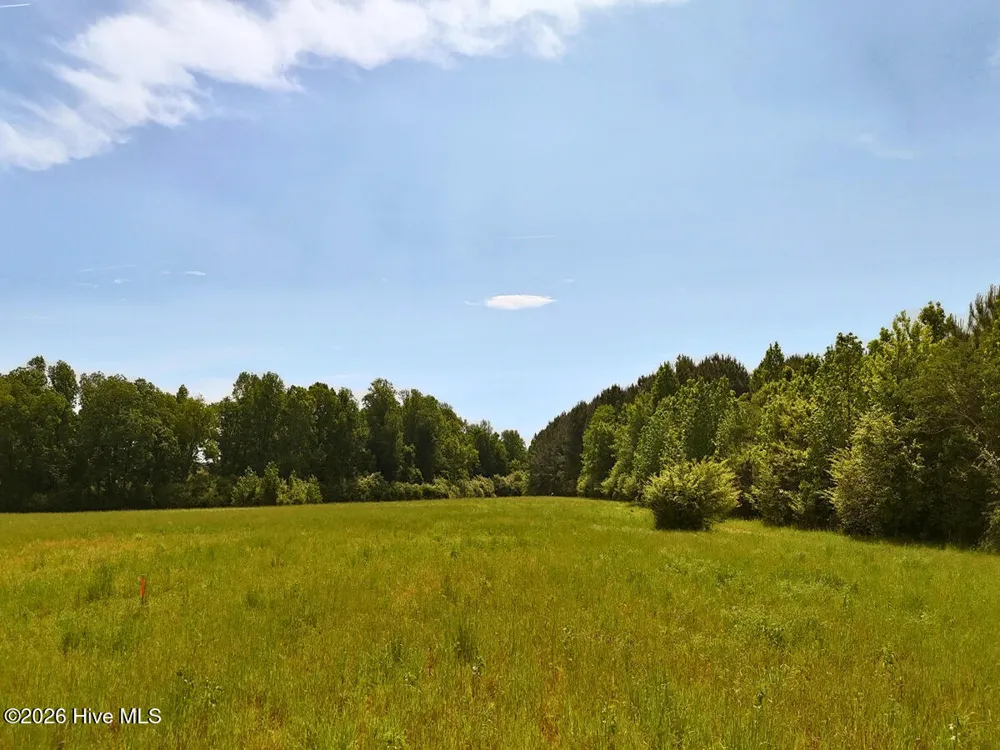 0 Old Chinquapin Road Beulaville, NC 28518