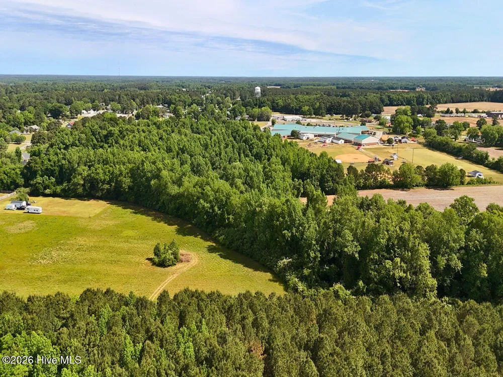 0 Old Chinquapin Road Beulaville, NC 28518