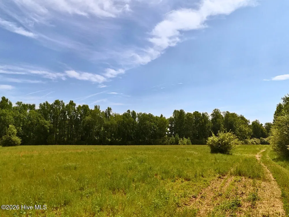 0 Old Chinquapin Road Beulaville, NC 28518