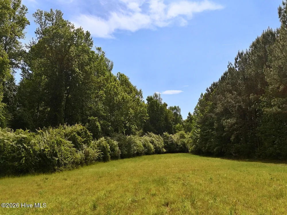 0 Old Chinquapin Road Beulaville, NC 28518