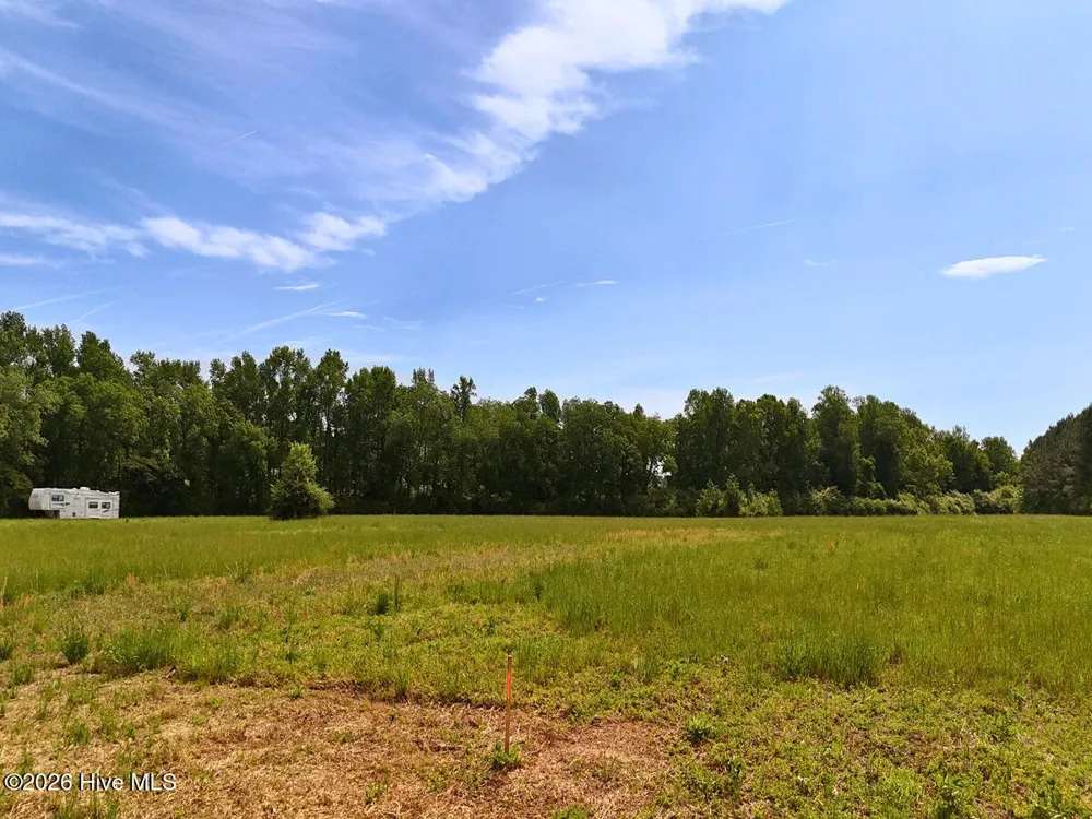 0 Old Chinquapin Road Beulaville, NC 28518