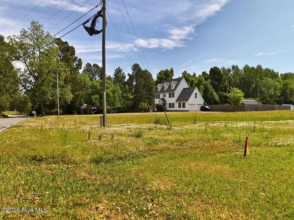 0 Old Chinquapin Road Beulaville, NC 28518