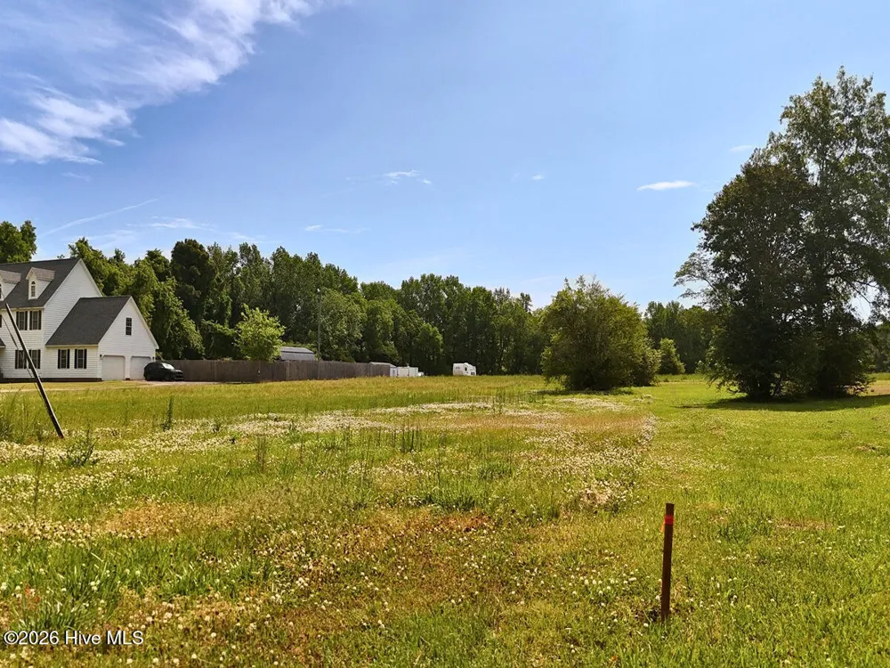 0 Old Chinquapin Road Beulaville, NC 28518