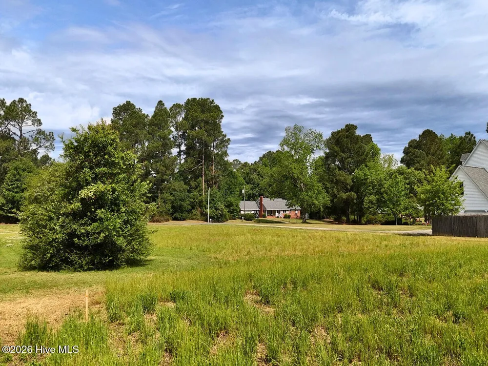 0 Old Chinquapin Road Beulaville, NC 28518