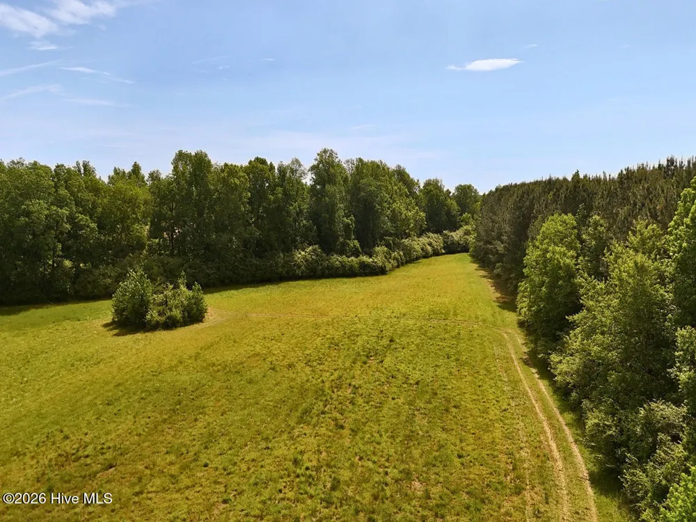 0 Old Chinquapin Road Beulaville, NC 28518