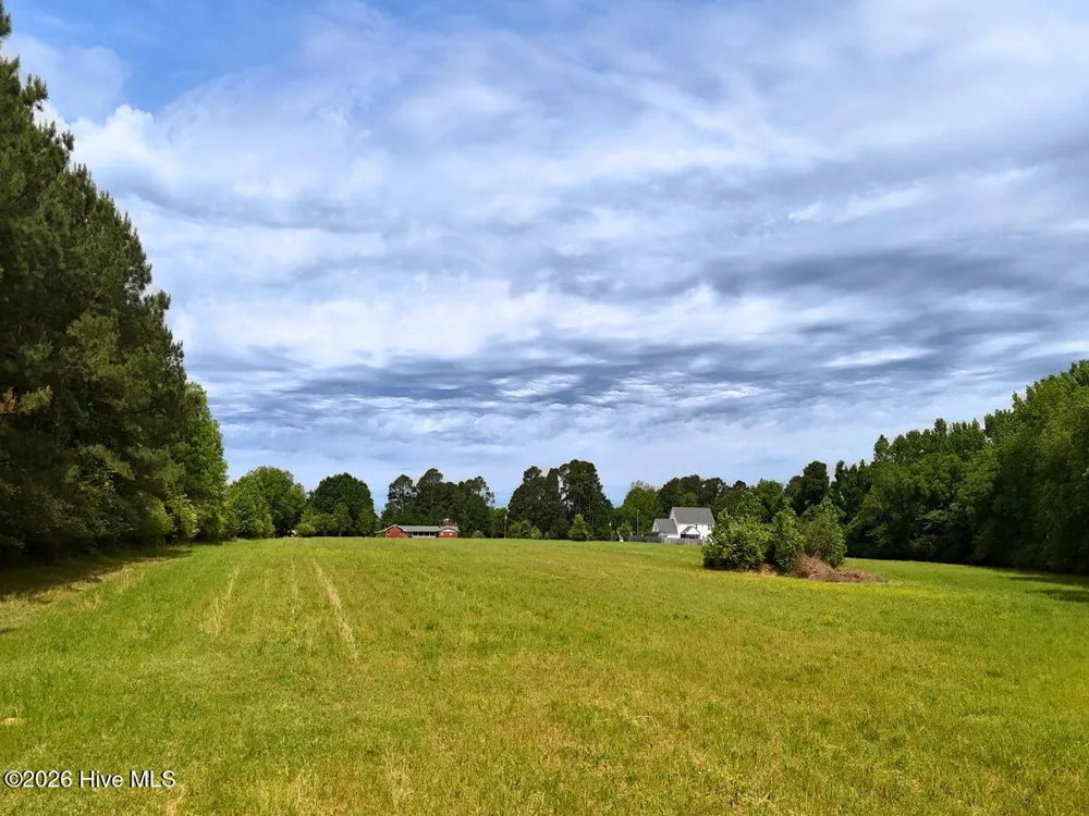 0 Old Chinquapin Road Beulaville, NC 28518