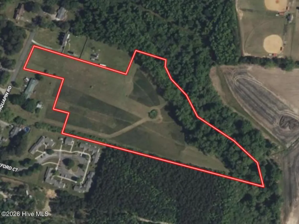 0 Old Chinquapin Road Beulaville, NC 28518