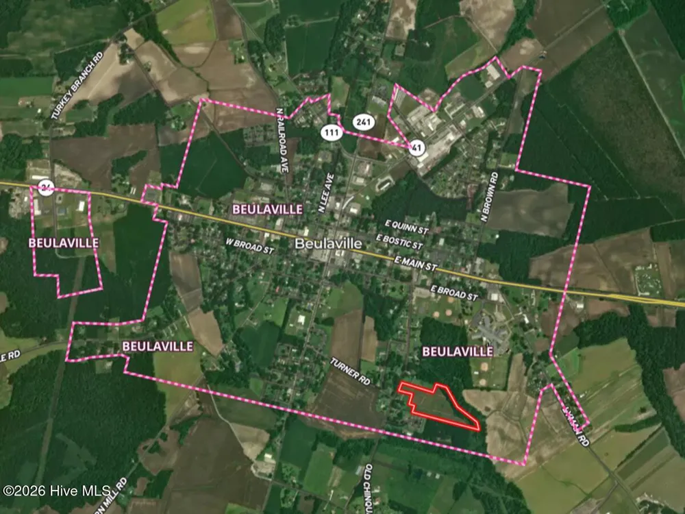 0 Old Chinquapin Road Beulaville, NC 28518