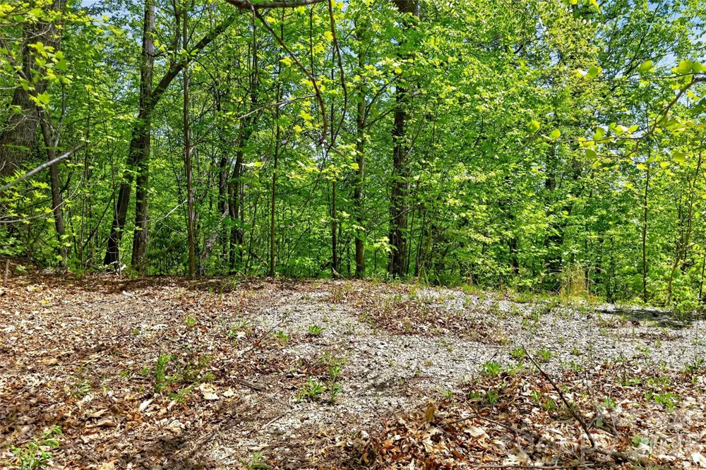 0 Bobcat Drive #741 Old Fort, NC 28762