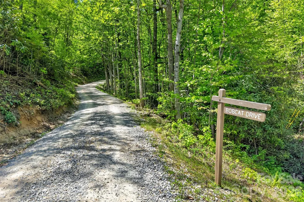 0 Bobcat Drive #741 Old Fort, NC 28762