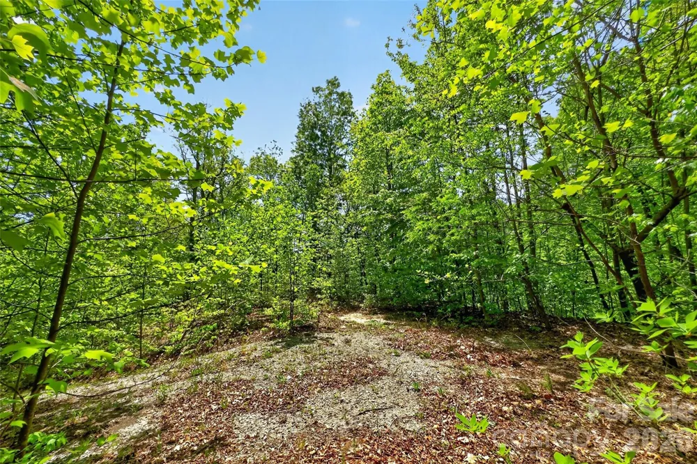 0 Bobcat Drive #741 Old Fort, NC 28762