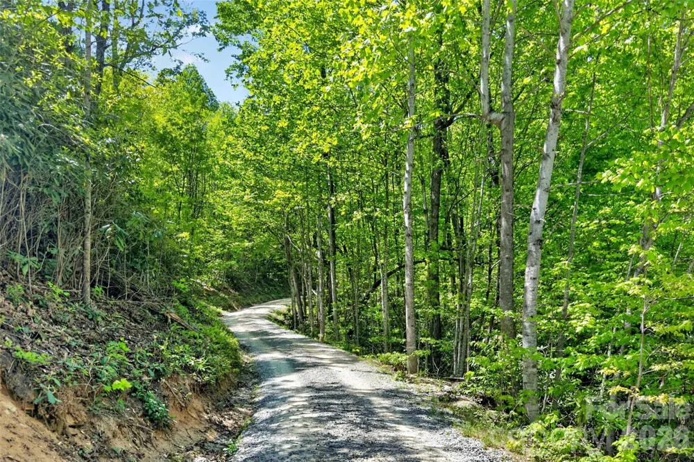 0 Bobcat Drive #741 Old Fort, NC 28762