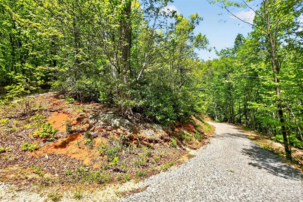 0 Bobcat Drive #741 Old Fort, NC 28762