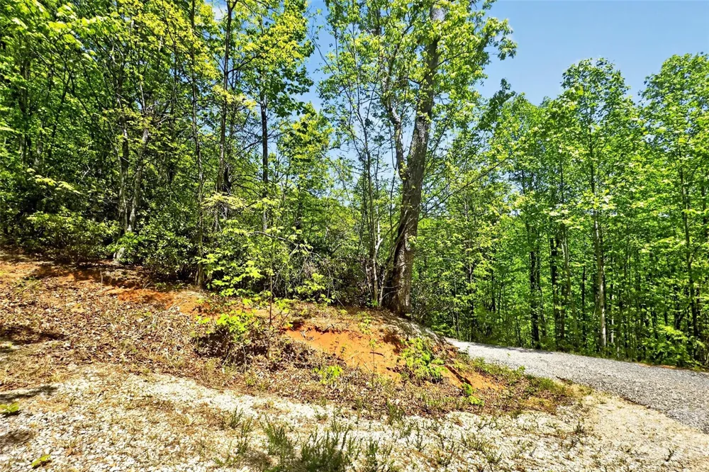 0 Bobcat Drive #741 Old Fort, NC 28762