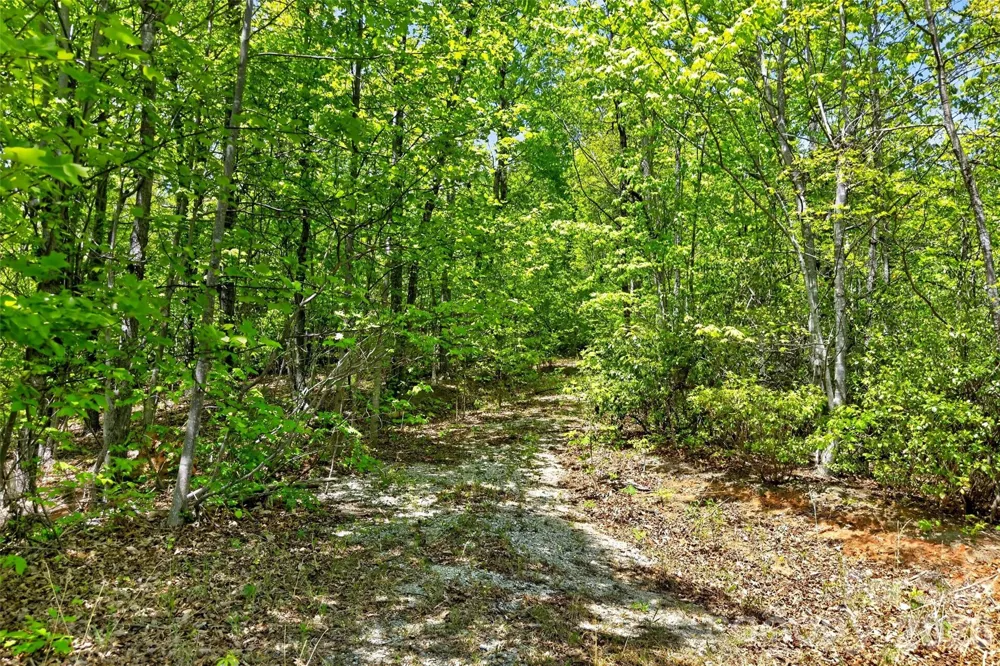 0 Bobcat Drive #741 Old Fort, NC 28762