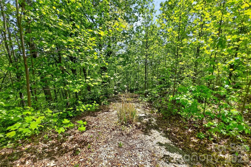 0 Bobcat Drive #741 Old Fort, NC 28762