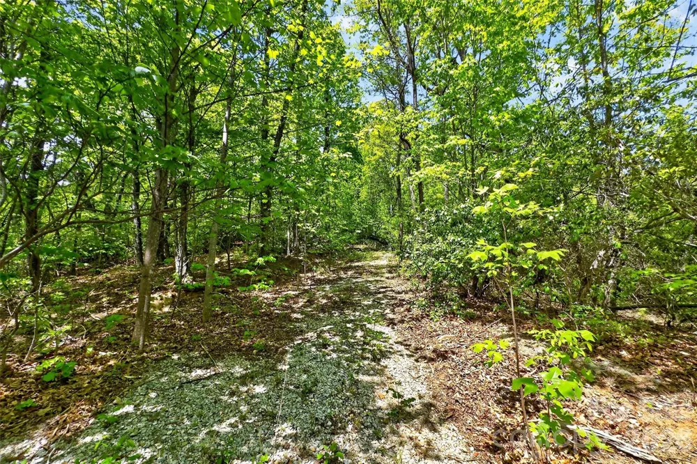 0 Bobcat Drive #741 Old Fort, NC 28762