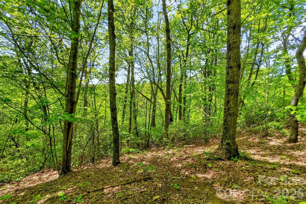 0 Bobcat Drive #741 Old Fort, NC 28762