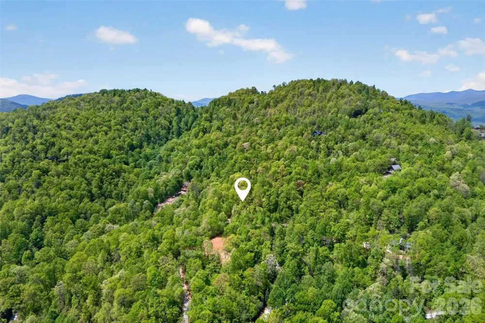 0 Bobcat Drive #741 Old Fort, NC 28762